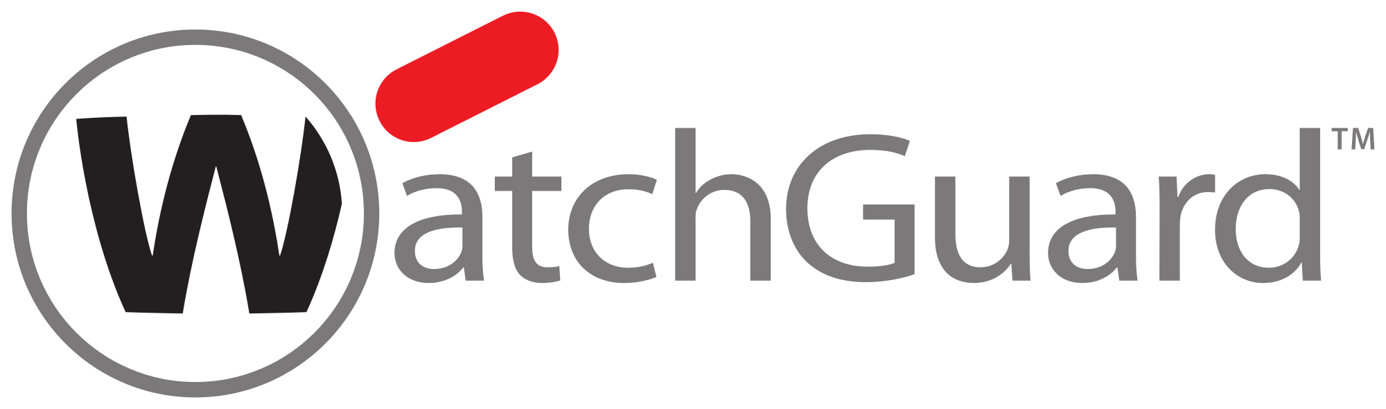 WatchGuard Report De