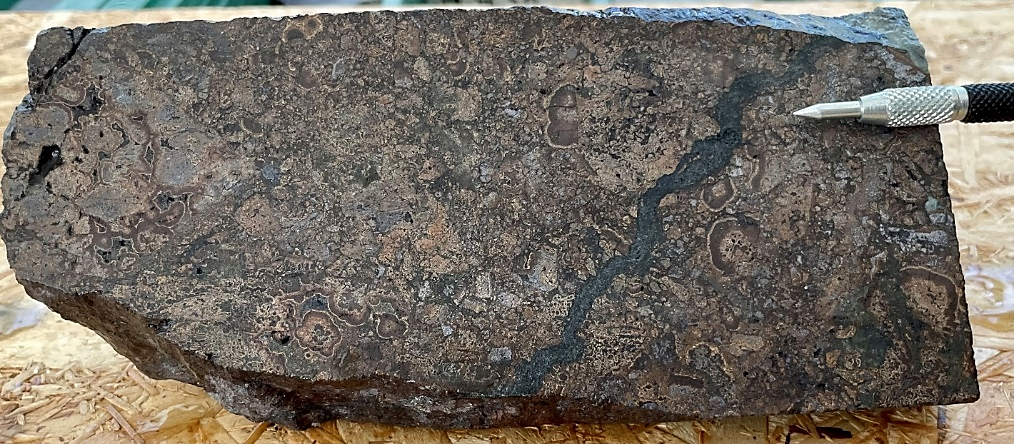 CMVDD001 interval from 30.8 to 31.0 m. Colloform banded sphalerite with galena aggregates cut by a sphalerite-stibnite-galena vein (2 cm scratcher tip for scale).