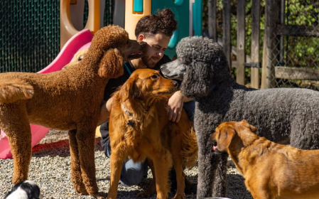 How Do I Prepare My Dog for Overnight Boarding: Ray Joseph of In My Paws Shares Insights on What to Bring When Boarding Your Dog for the First Time