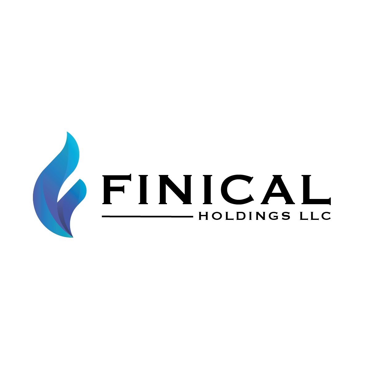 Finical Holdings, LLC.