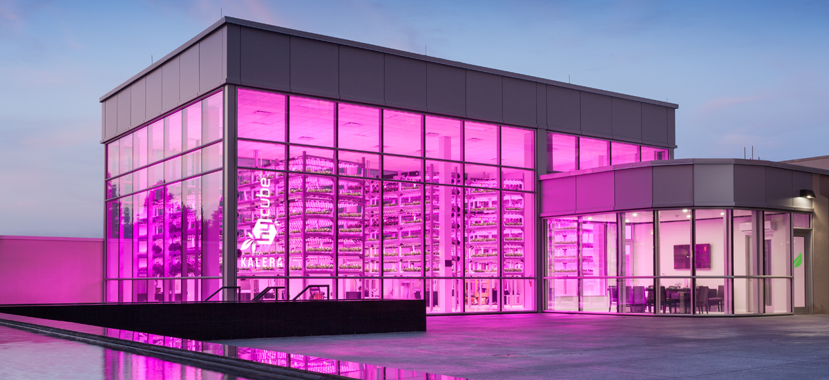 Kalera_hycube_Orlando