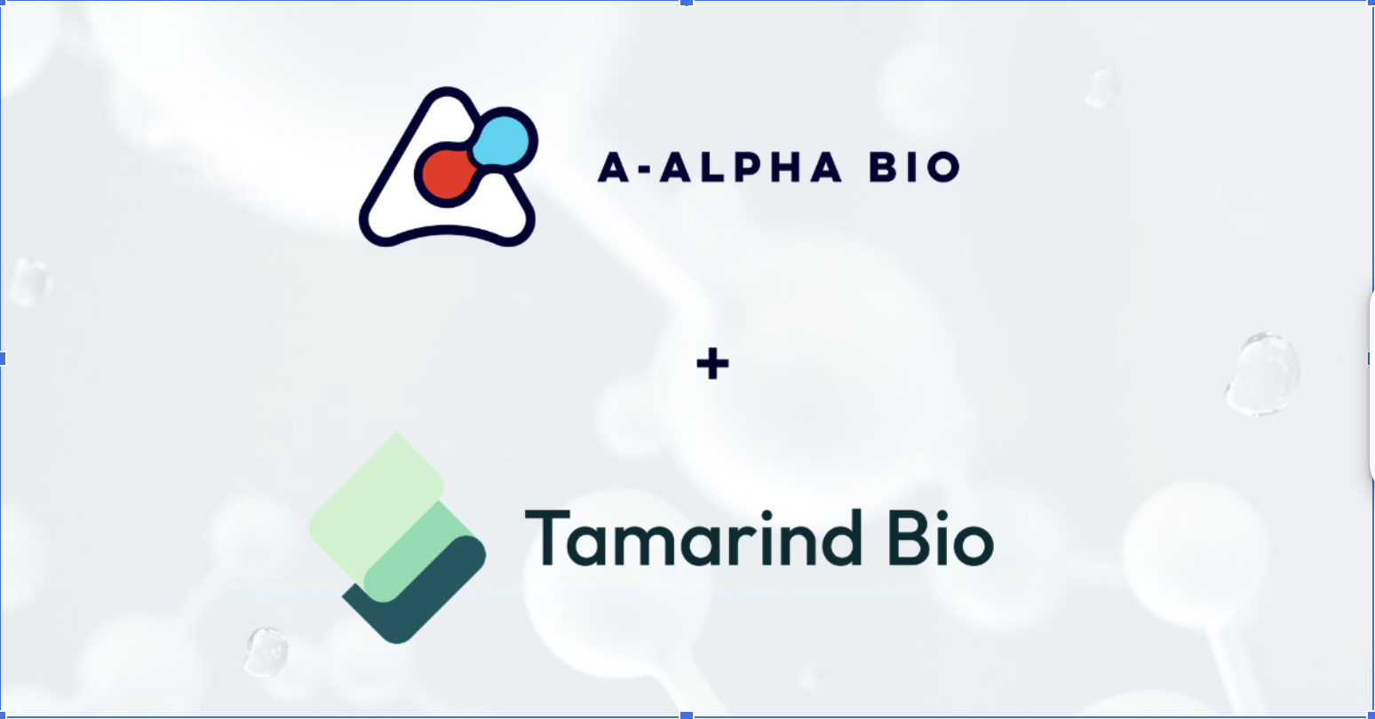 Tamarind Bio Partner