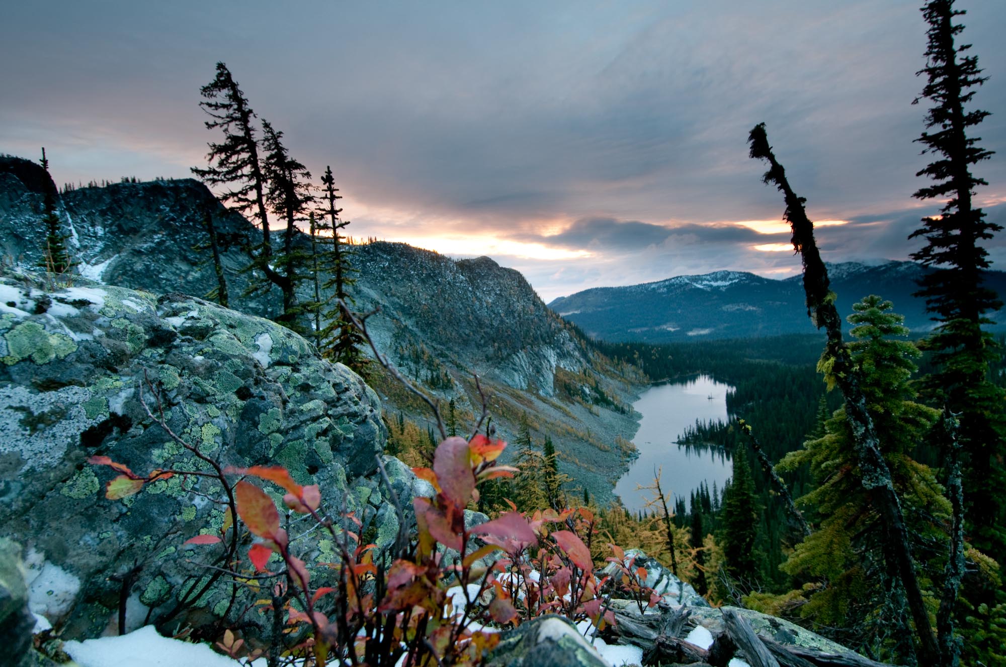 Darkwoods Forestry Conservation Project