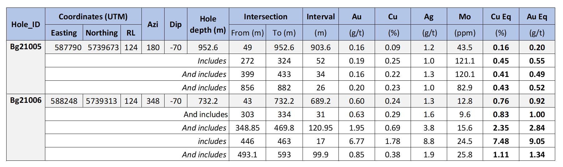 Summary table for holes Bg21005 and Bg21006.