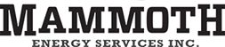 Mammoth Logo.jpg