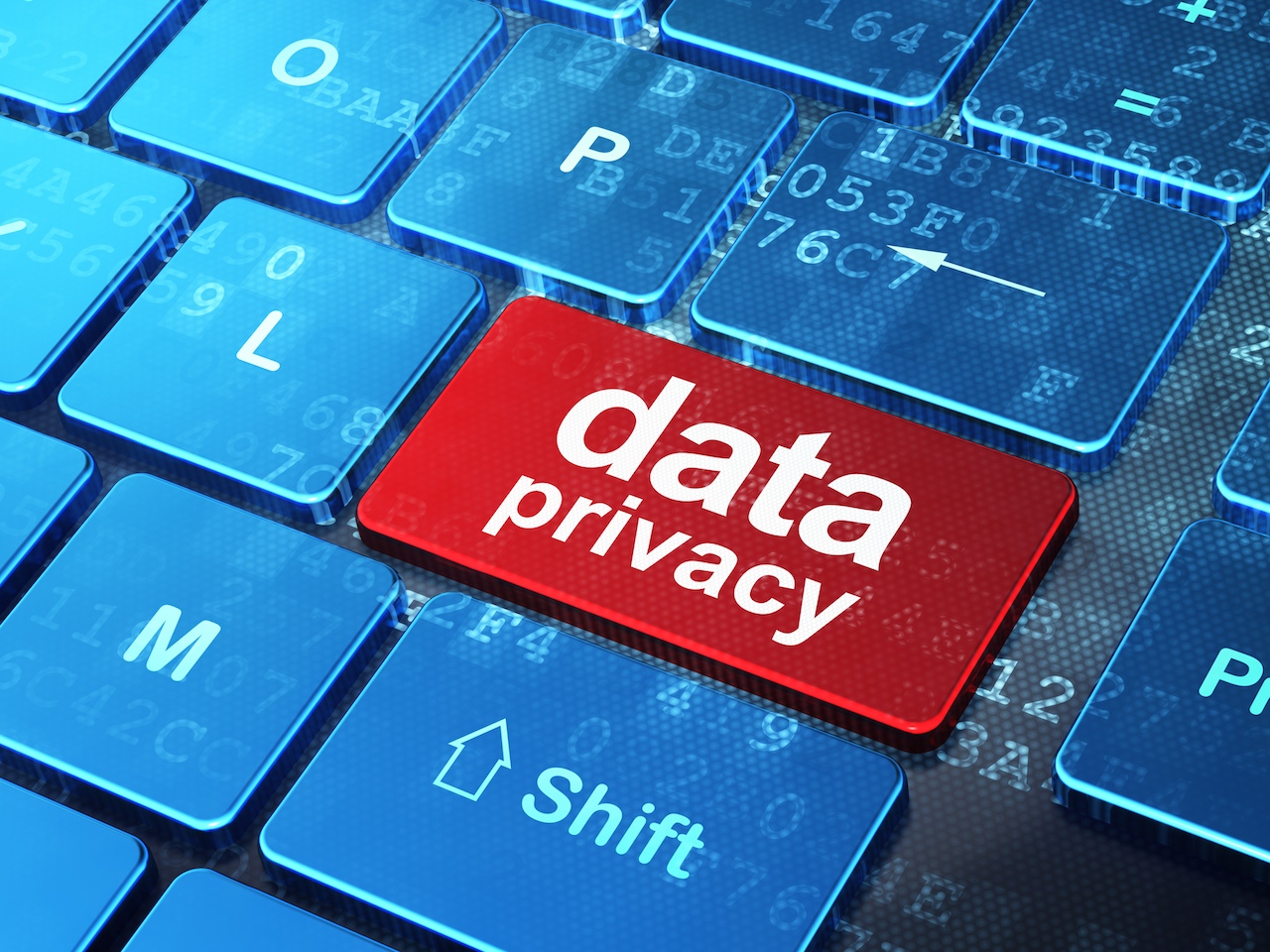 Data Privacy Image