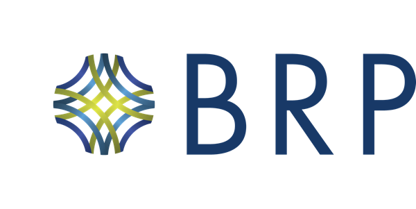 Baldwin Risk Partners logo