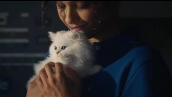 Royale. There for all.: Softness, strength, and comfort for millions of Canadians.