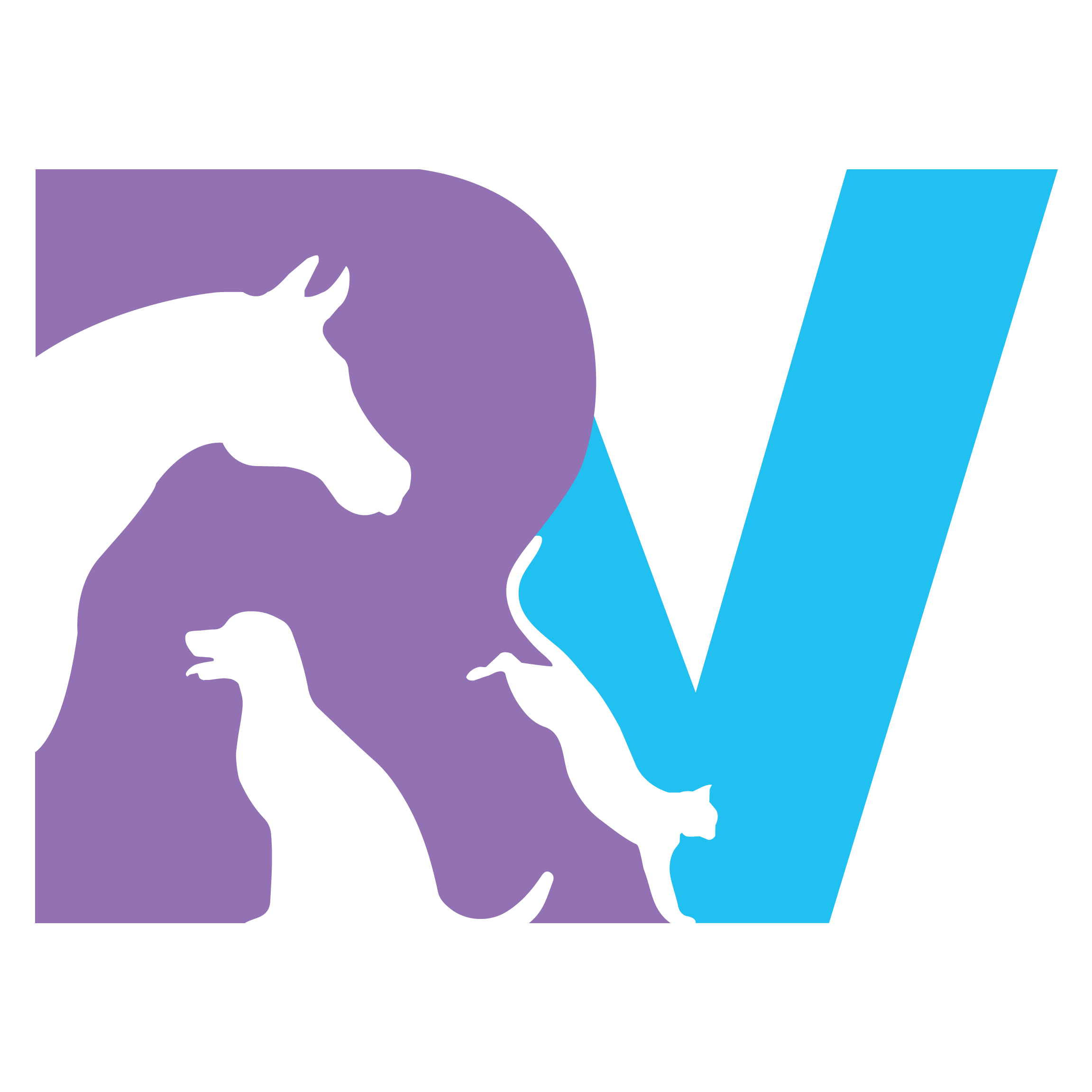 Rescue Village's 29th Annual Woofstock Dog Festival to Be - Vimarsana News