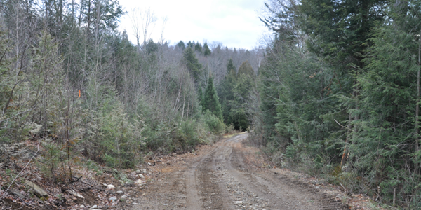 Access Road to La Loutre Property from Highway - 113 km north-west of Montreal