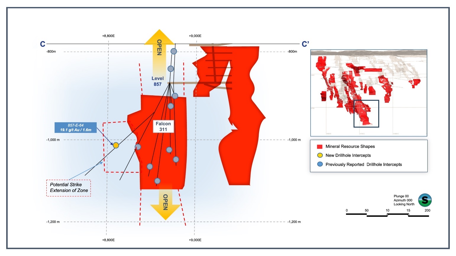 Falcon 311 Zone Longitudinal Section