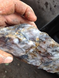 Visible Gold from the New Vein Trench 