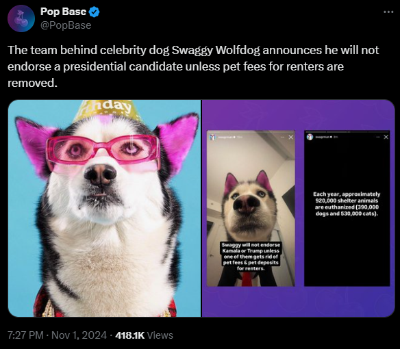 Swaggy's Official Stance on The Election