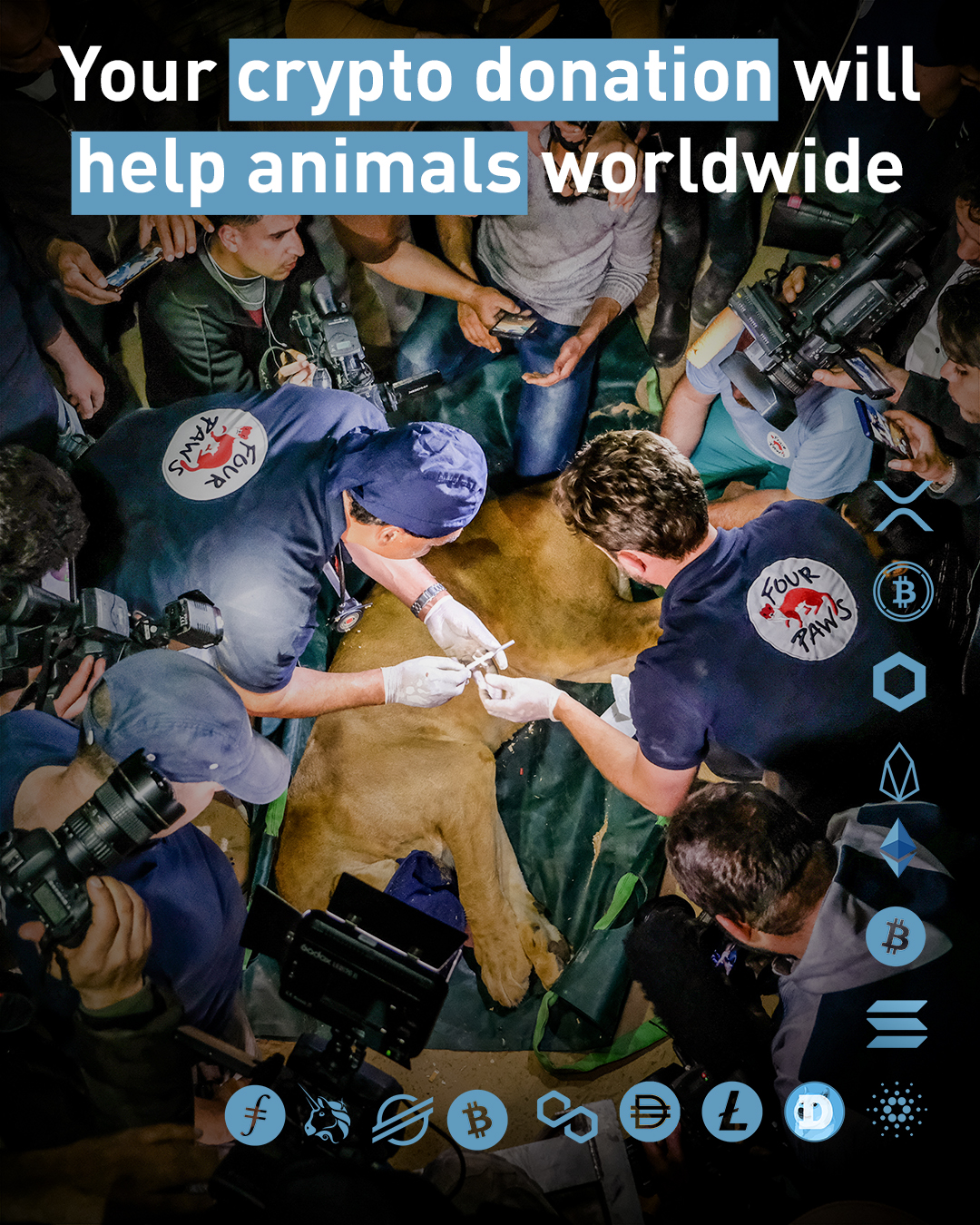 Your crypto donation will help animals worldwide! 