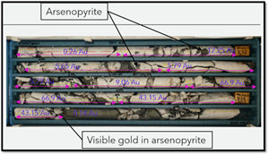 Example of CDH01A drill core annotated with gold grades in g/t. Core tray is 100m to 104.23m