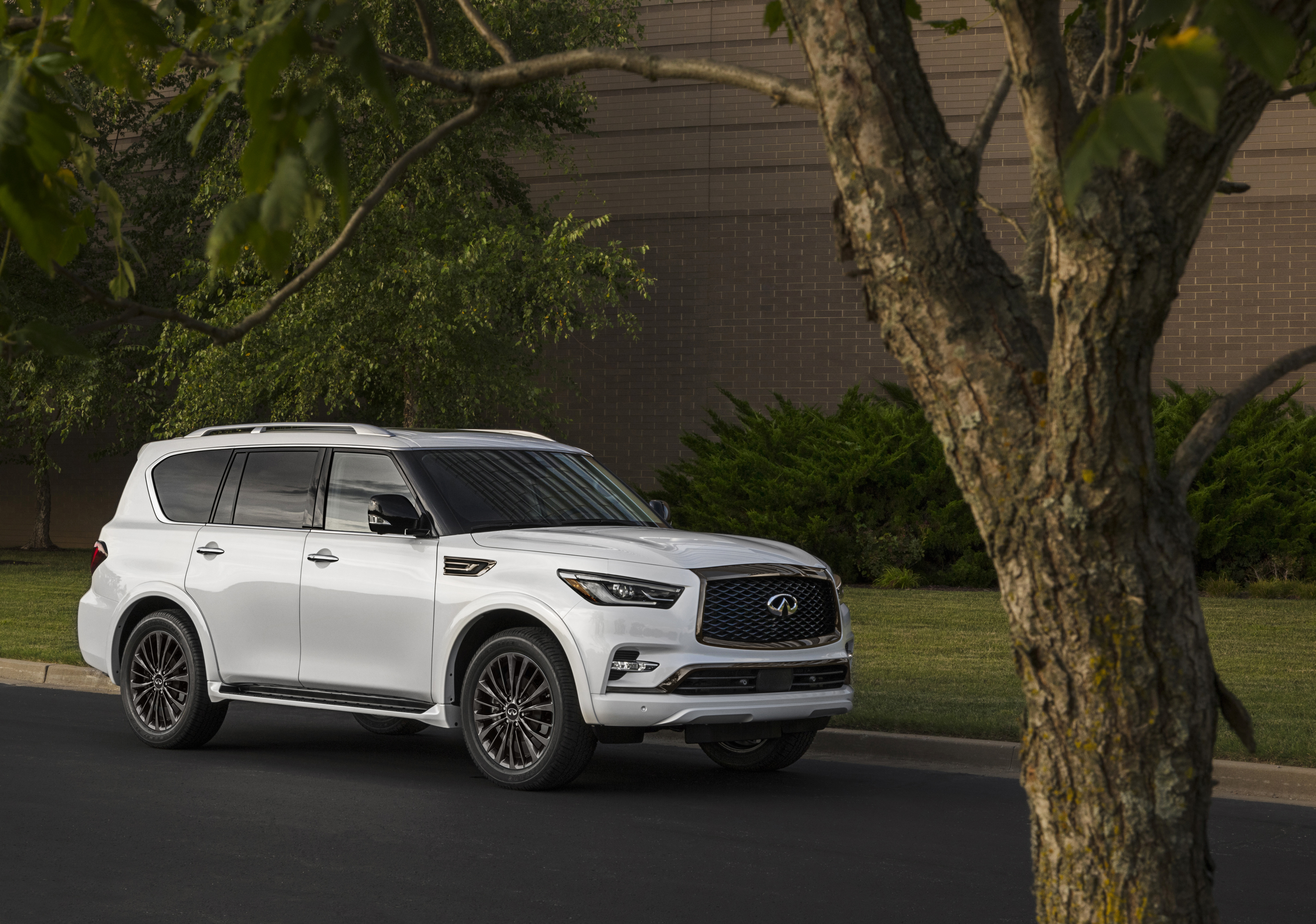 2021 QX80-21b