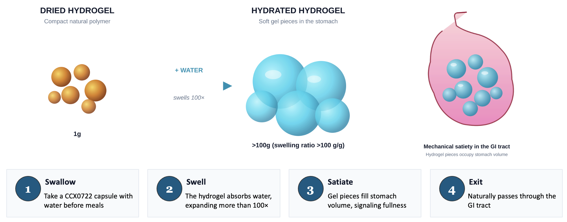 Cosmos Health_How CCX0722 Works 