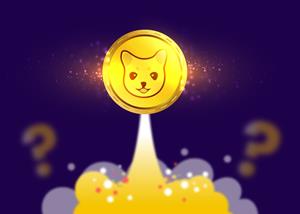 kishu inu coin to be used for buying gift cards