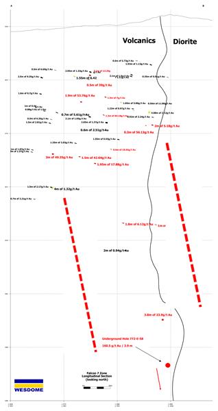 Figure 2 - Falcon 7 Zone Longitudinal Section v2