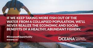 Stop overfishing