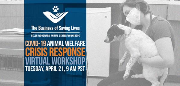 The COVID-19 crisis has impacted the way animal welfare organizations around the country and world are able to continue their mission of helping orphan pets in need. Please join us in a special The Business of Saving Lives Virtual Workshop: COVID-19 Animal Welfare Crisis Response via ZOOM video conference on Tuesday, April 21, 2020 starting at 9 a.m. PST. 