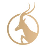 Antelope Enterprise Reports First Half FY 2026 Financial Results