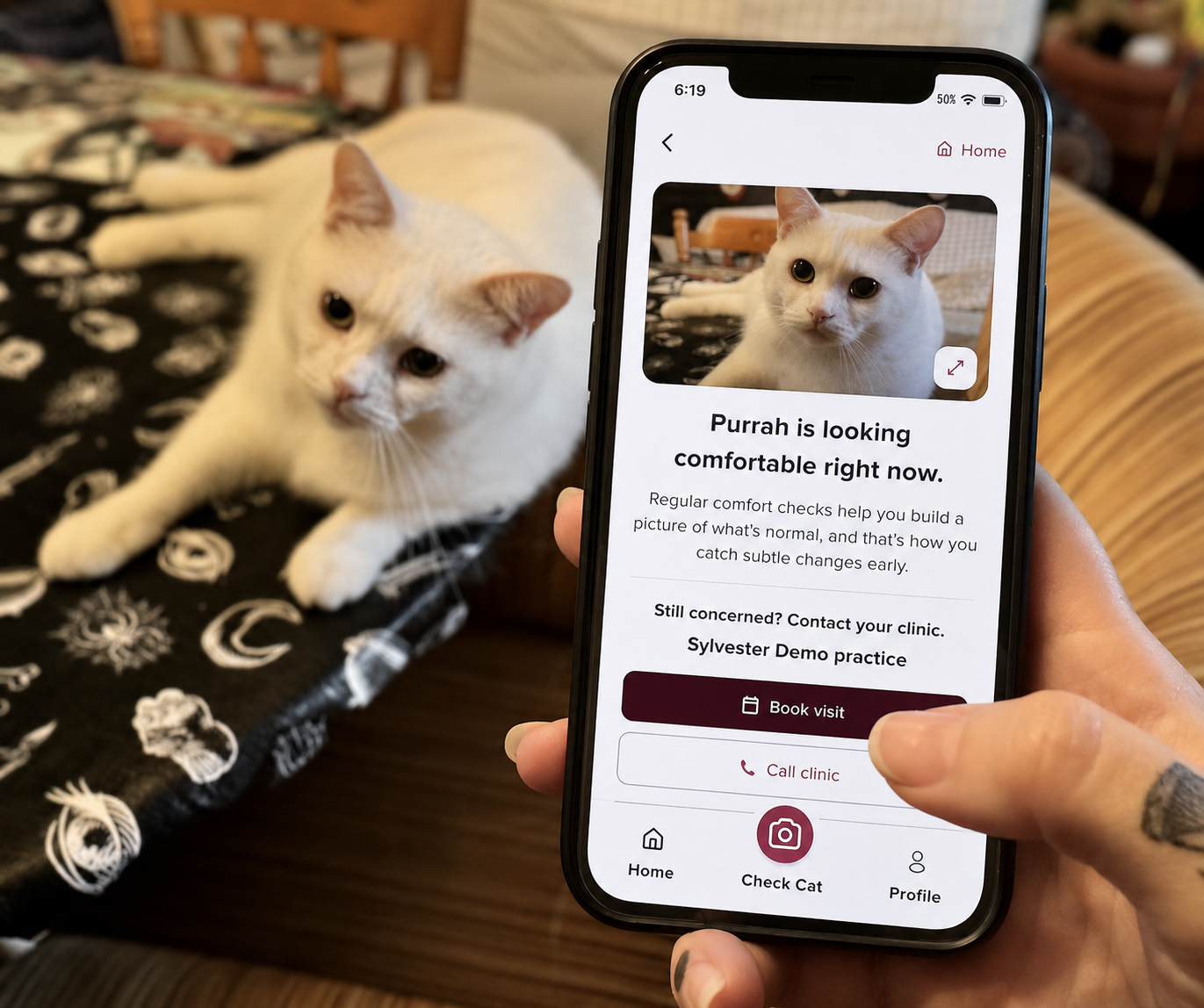 Sylvester app