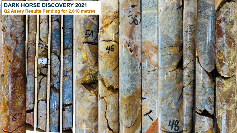 Dark Horse Discovery 2021