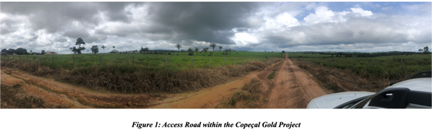 Access Road within the the Copeçal Gold Project