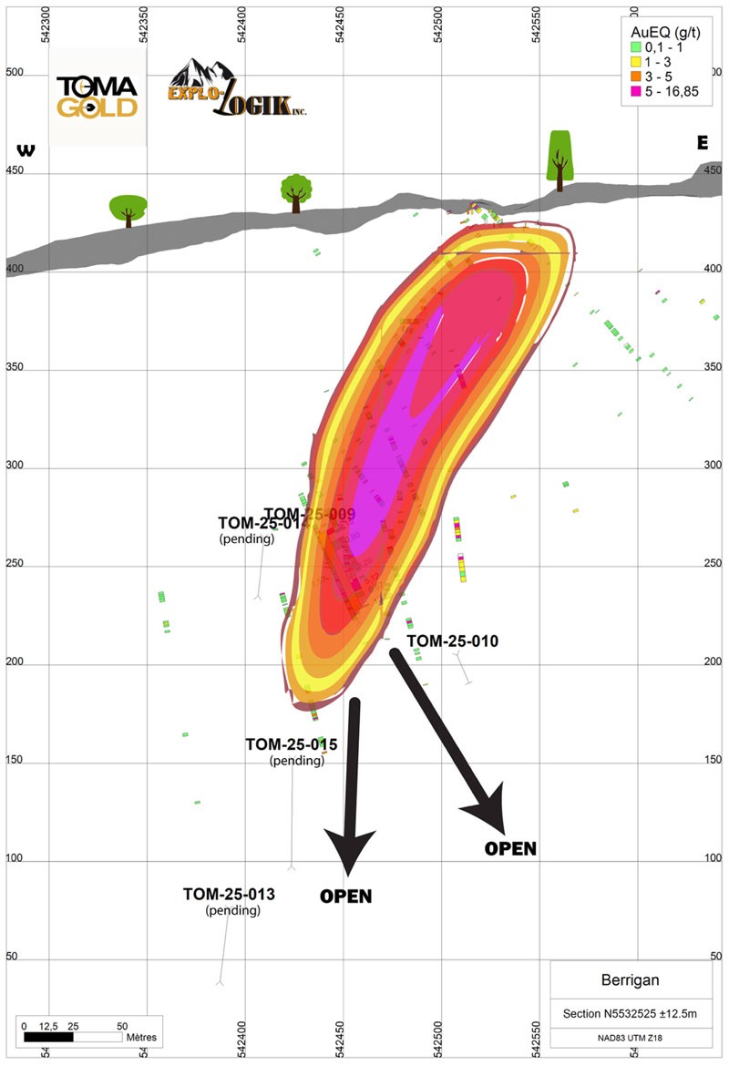 Longitudinal Section of the Berrigan Property Known Mineralized Envelope and Completed Drill Holes (excluding TOM-25-011 and TOM-25-012) image