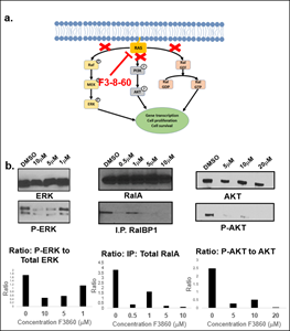 Inhibition of RAS signaling pathways