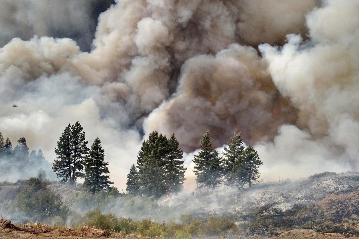 Wildfire smoke may greatly increase susceptibility to SARS-CoV-2, the virus that causes COVID-19, according to new research from the Center for Genomic Medicine at the Desert Research Institute, Washoe County Health District, and Renown Health in Reno, Nev. Credit: U.S. Department of Agriculture.