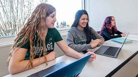 The College of DuPage Human Services program, which first received accreditation in 1984, has repackaged its degrees and certificates, strengthening and streamlining course offerings over the last several years to include two Associate in Applied Science degrees: the Human Services Generalist and Addictions Counseling, as well as a Bachelor of Arts degree through the 3+1 program in partnership with National Louis University.