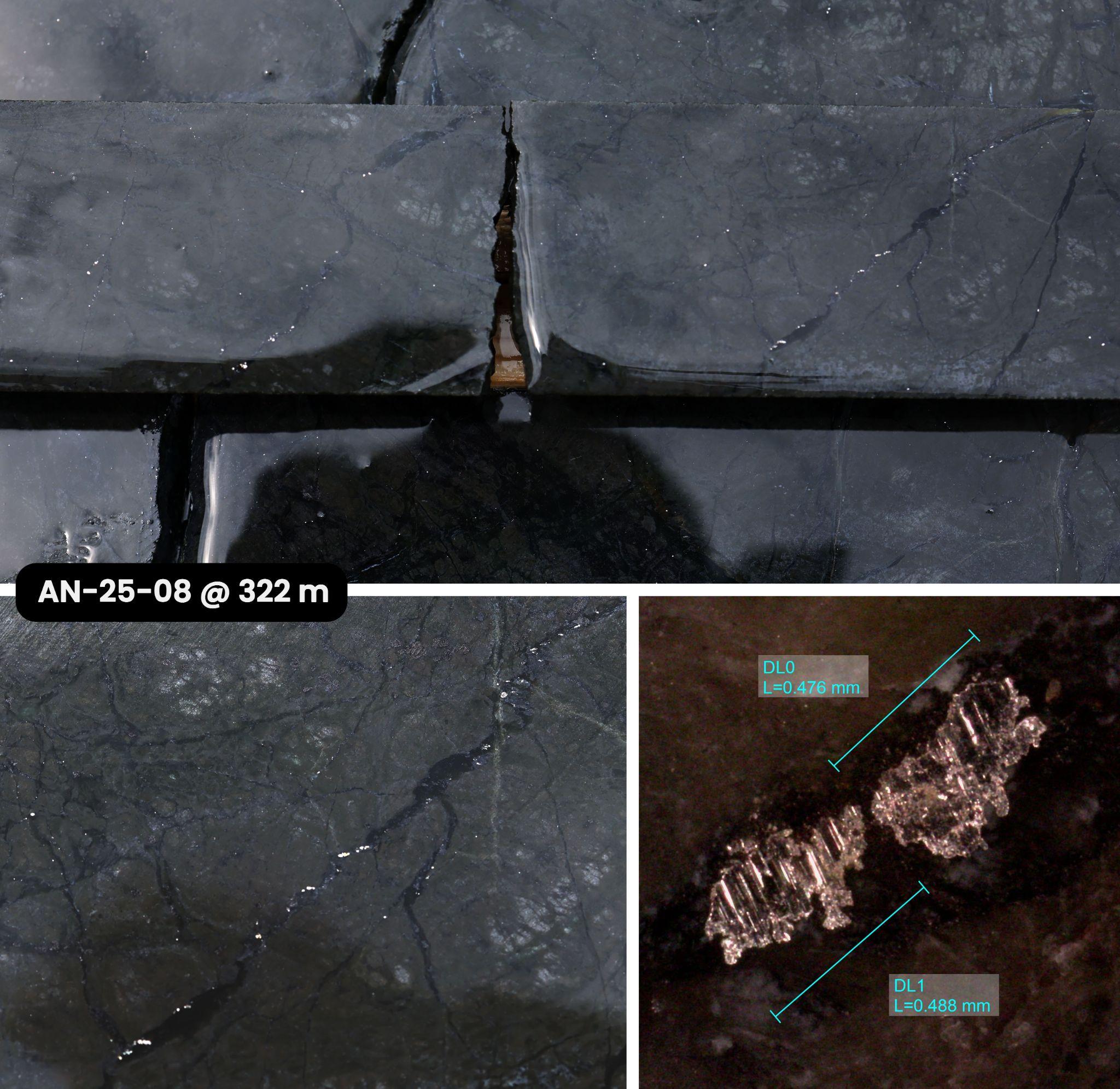 Figure 2 image