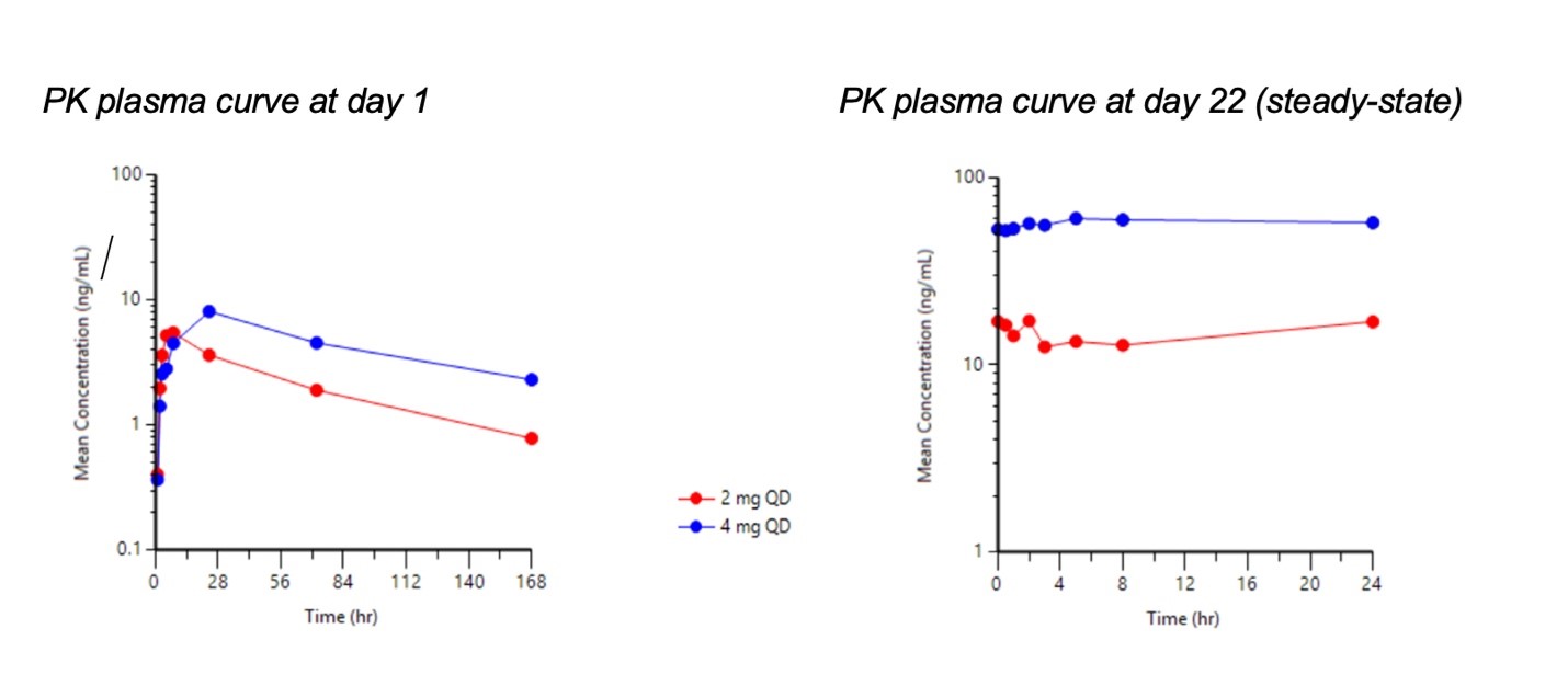 PK plasma curve