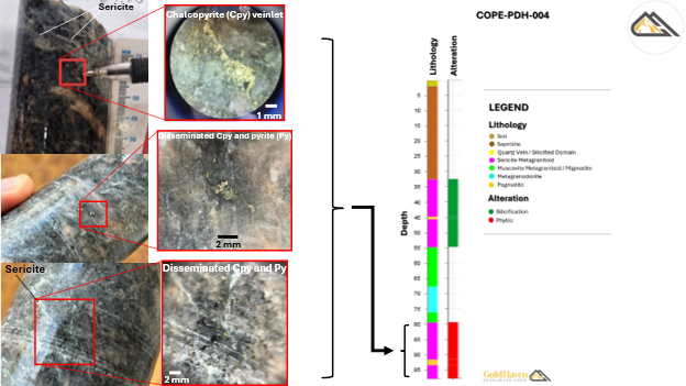 Images of core from hole COP-004 showing Phyllic Alteration (Quartz-Sericite-Pyrite-Calcite) of sheared biotite granitoid and associated fine disseminated pyrite – chalcopyrite.