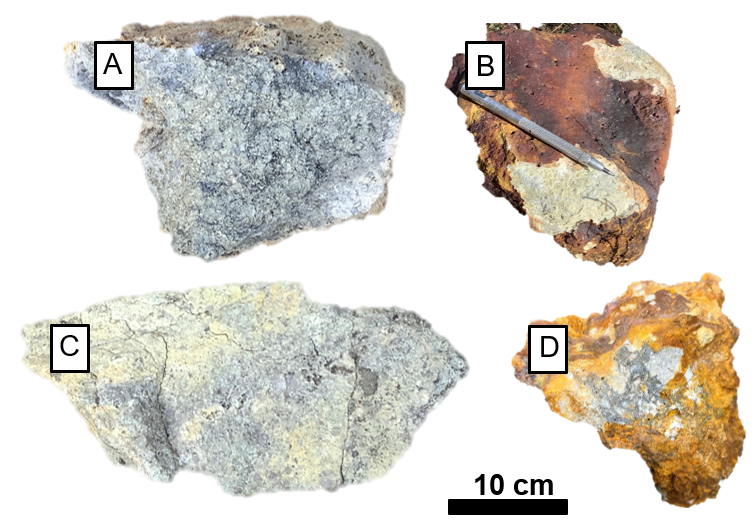 Rock sample photographs from the Sunrise Mine target area. New data demonstrate that robust gold grades exist up to 850 meters from the historic Sunrise Mine in porphyritic intrusions providing a linkage between historically mined CRD mineralization and epithermal-porphyry transitional mineralization. A) Sample 191902 (0.09 g/t Au); B) sample 191903 (4.26 g/t Au); C) sample 191904 (3.22 g/t Au); sample 191905 (4.22 g/t Au).