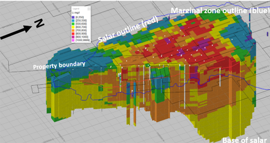 Resource blocks in lithium mg/l, showing the salar edge (red), alluvial zone (green) in the south and the muddy marginal zone outline (between red and blue outlines)