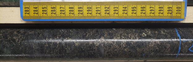 Plate 2 - 2021-07-14: Net texture pyrite-pyrrhotite-chalcopyrite sphalerite mineralization observed in hole KF21022 (27.90m)