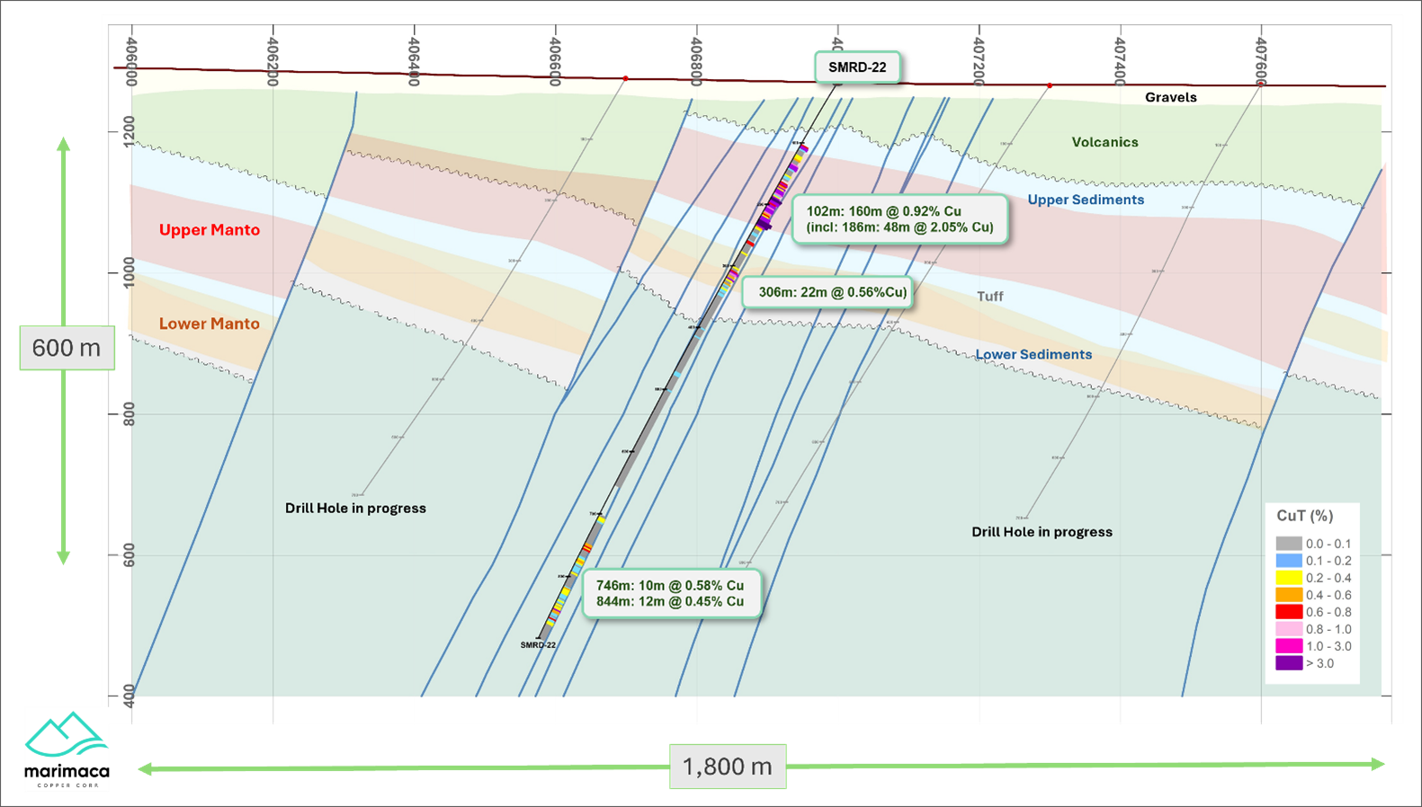 Figure 5  image
