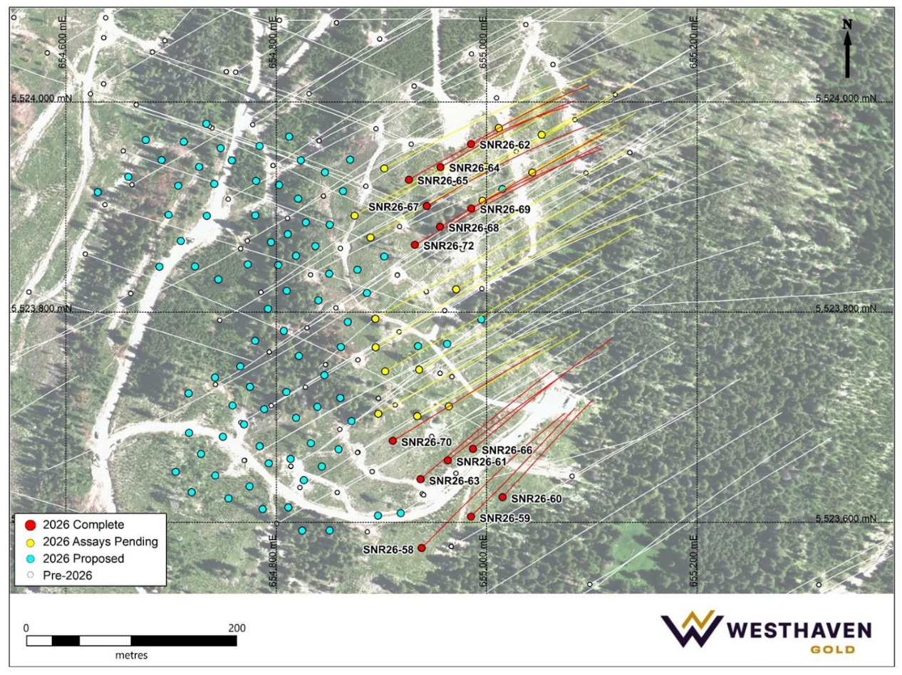 Figure 1 image