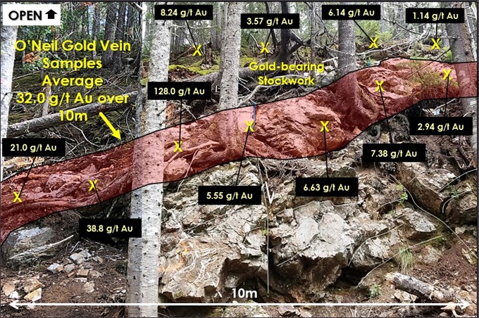 Figure 2: O’Neil Gold Zone Main Showing