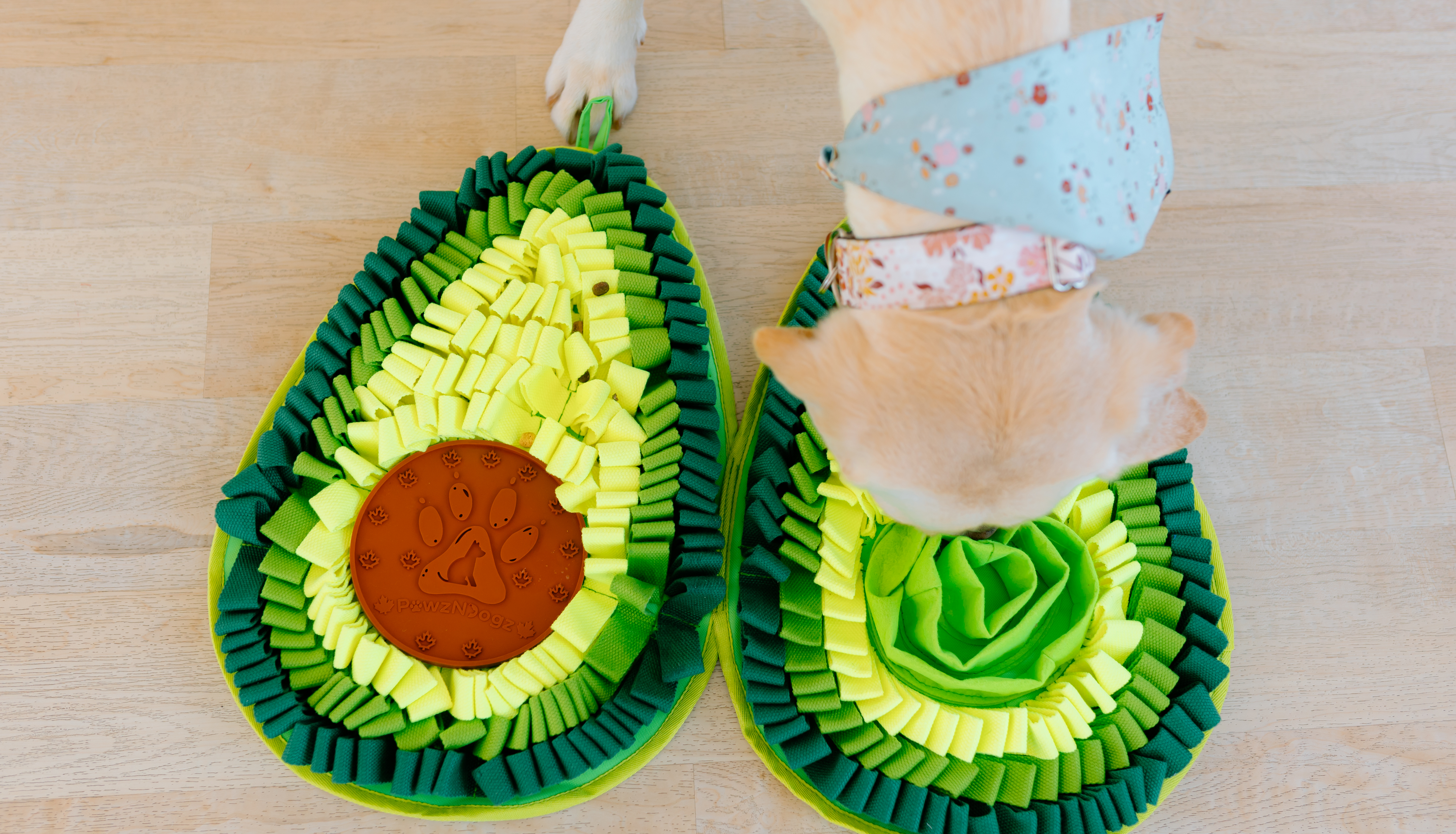 PawzNDogz Announces Expansion of Its Journey with Snuffle Mats as Enrichment Tools for Pets