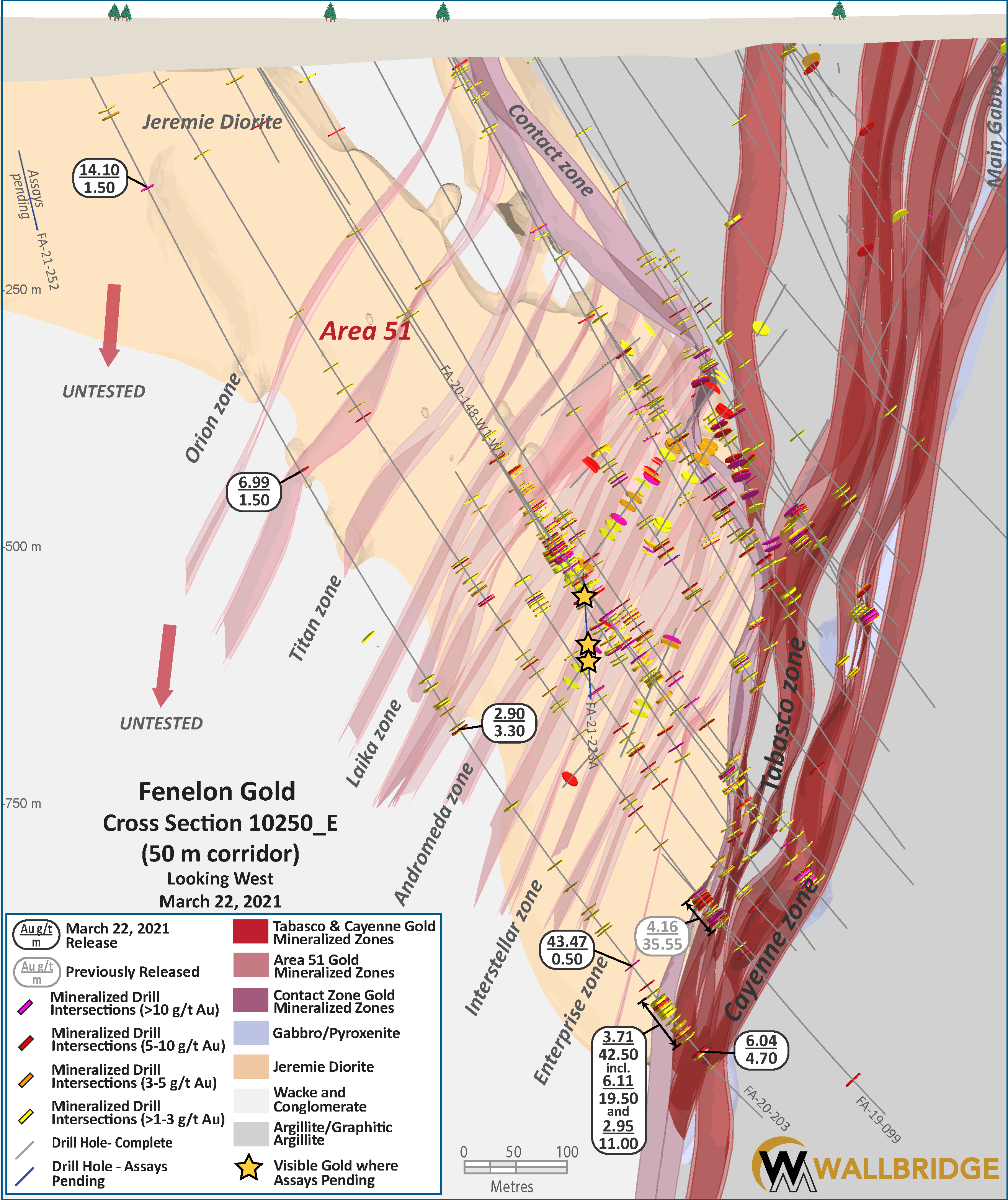 Figure 3. Fenelon Gold, Cross Section 10250_E