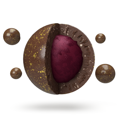 Lord Jones® Dazzleberry Pop Chocolate Fusions