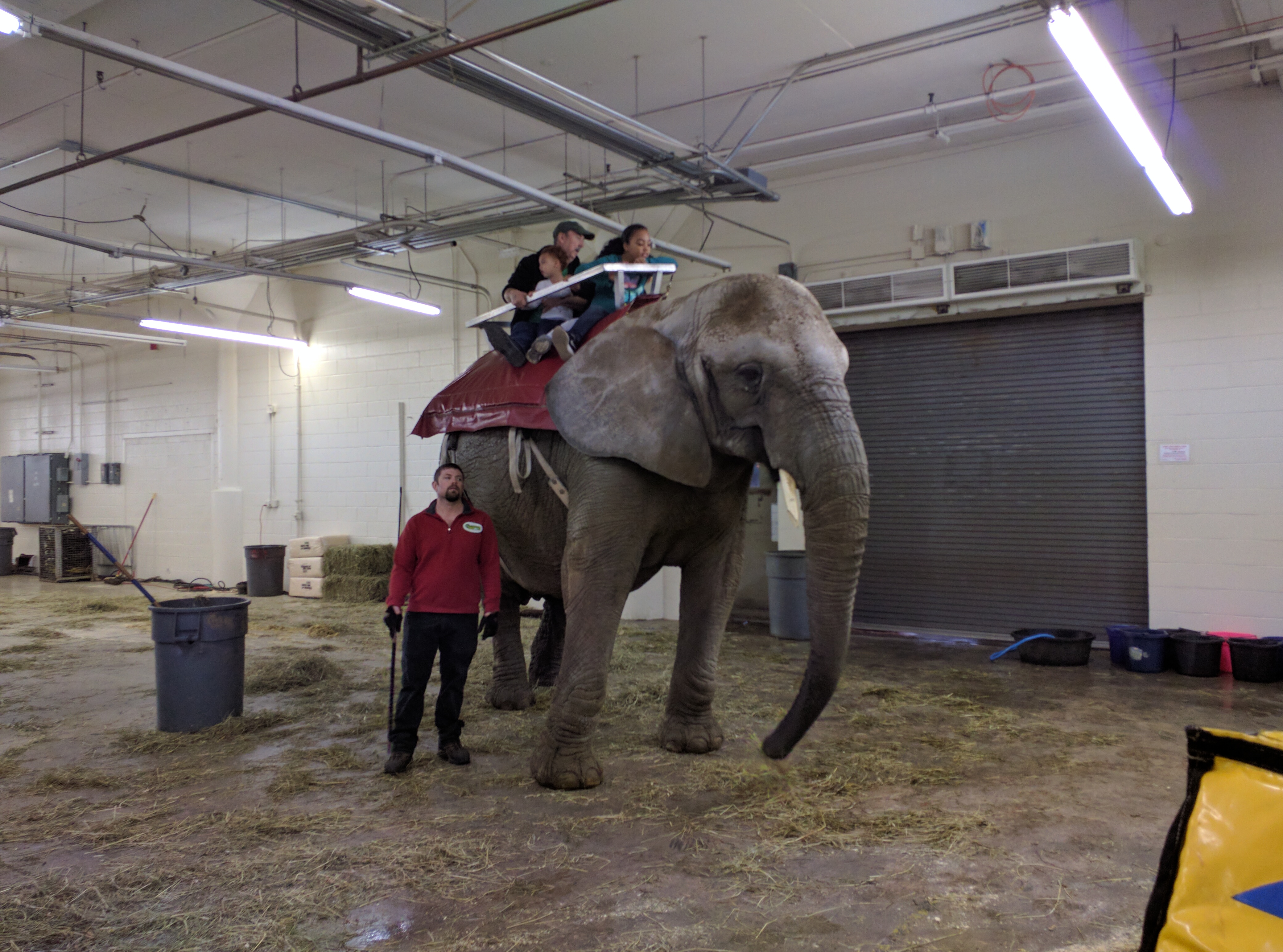 The Nonhuman Rights Project's elephant client Karen's last known public appearance was in July of 2018 at the Meadowlands State Fair in New Jersey.