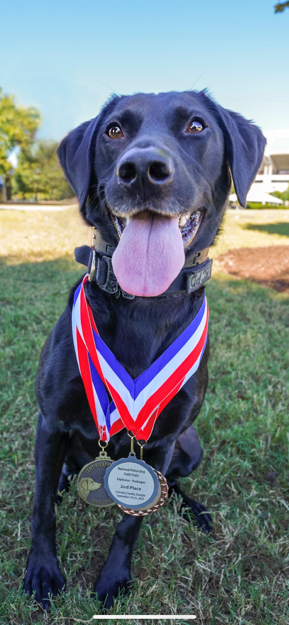 2023 Hero Dog Award Finalist 