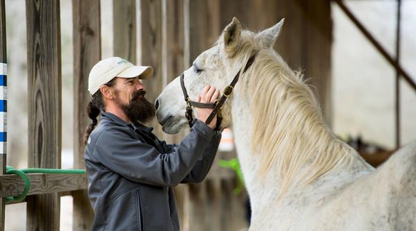 PATHH participants spend time with horses, as the animals tend to mirror the attitudes and behaviors of those around them. These interactions provide a platform where individuals can address how they are feeling and regulate those emotions, an essential step in the process of post-traumatic growth.