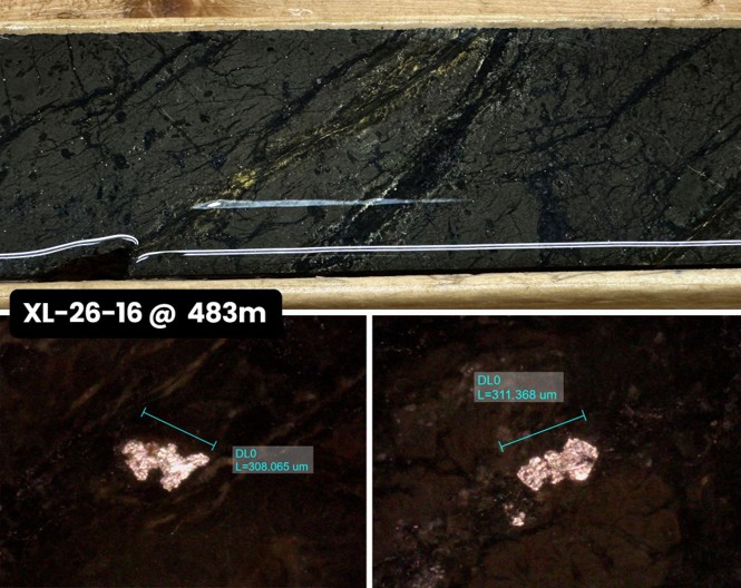 Figure 6:
