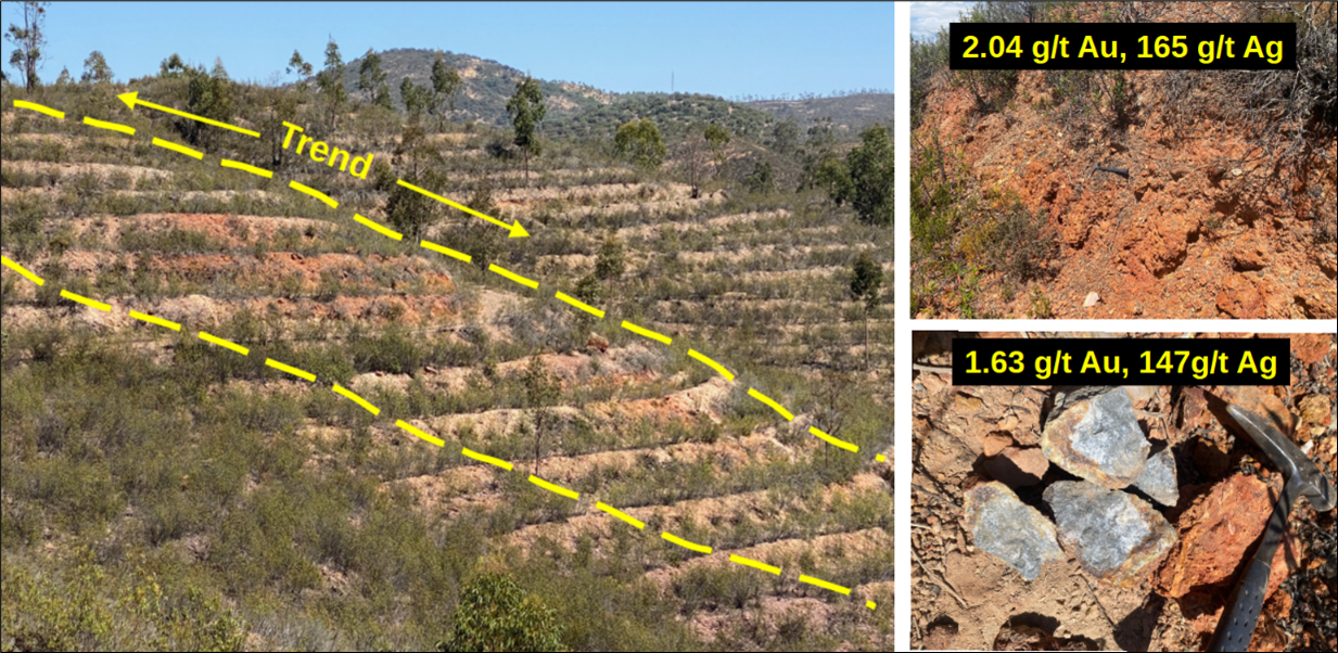 Figure 3 image